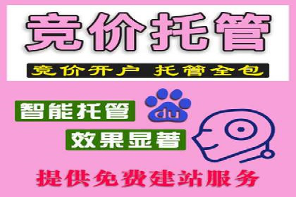 谷歌竞价实战：低成本高回报的广告投放